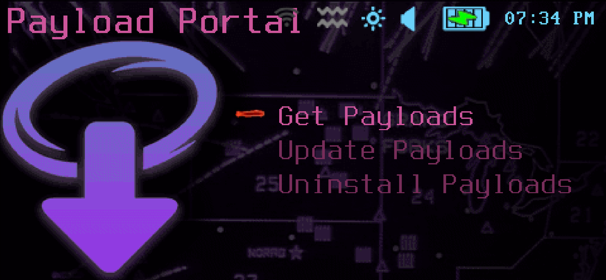 Payload portal